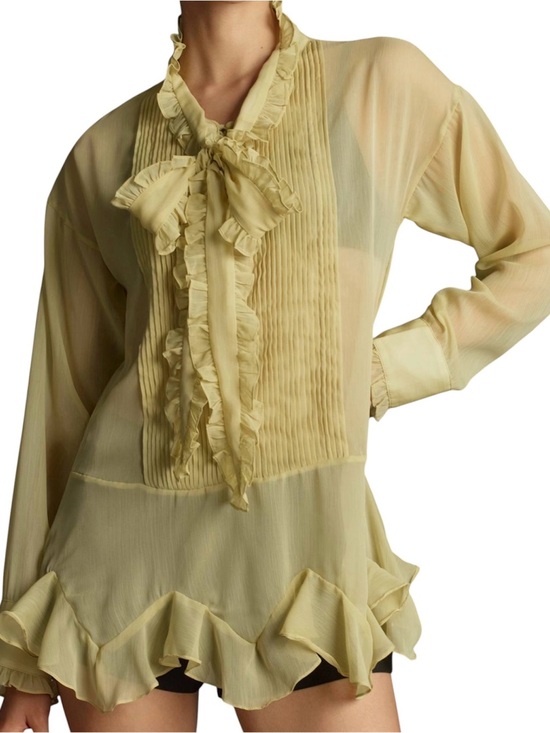 Anthropologie Tops - Anthropologie Let Me Be Sheer Ruffle Tie Neck Blouse XL NWT